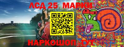 PSILOCYBIN Будённовск