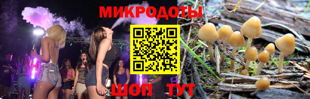 Галлюциногенные грибы Cubensis  Вход с VPN  Новомосковск 