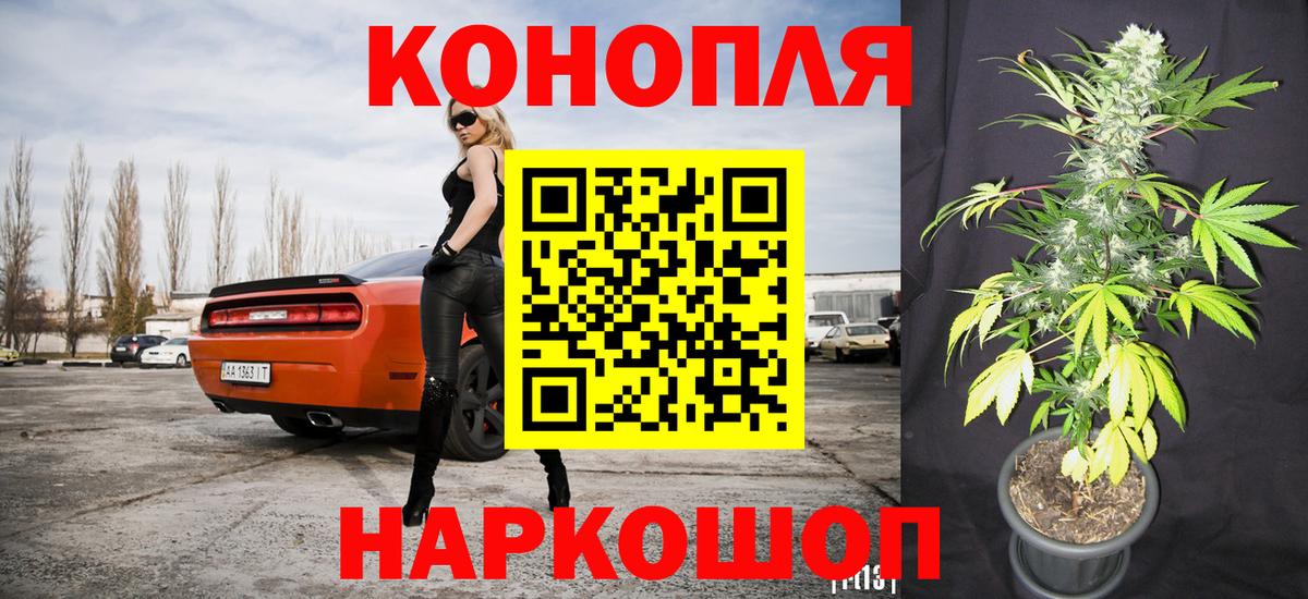 Новомосковск  Канабис семена  Вход с VPN  МАРИХУАНА планчик  МАРИХУАНА OG Kush 